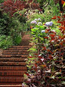 greenwich steps